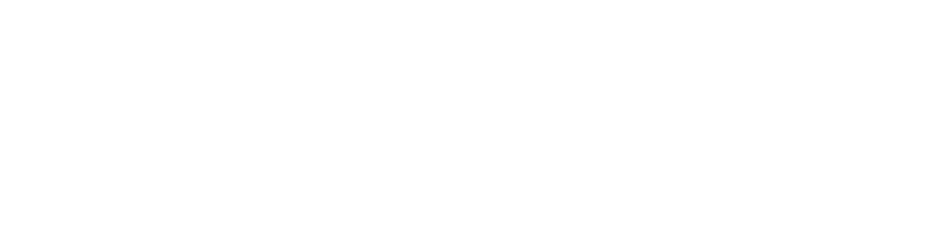 Compass Lacrosse_Wordmark_White